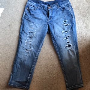 Lane Bryant Distressed Jeans